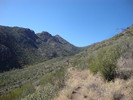 photo thumbnail #1