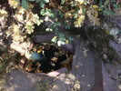 photo thumbnail #15