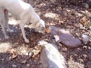 photo thumbnail #9