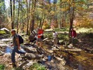 photo thumbnail #5