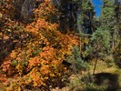 photo thumbnail #8