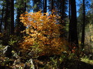 photo thumbnail #9