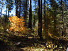 photo thumbnail #10