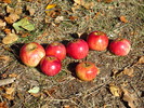 photo thumbnail #7