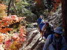 photo thumbnail #3