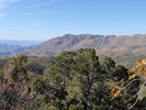 photo thumbnail #6