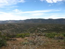 photo thumbnail #12