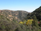 photo thumbnail #7