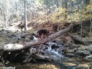 photo thumbnail #5