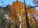 photo thumbnail #14