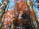 photo thumbnail #15