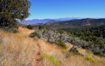 photo thumbnail #12
