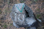 photo thumbnail #14