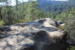 photo thumbnail #7
