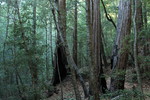 photo thumbnail #14