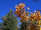 photo thumbnail #10