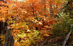 photo thumbnail #14