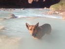 photo thumbnail #5
