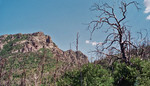 photo thumbnail #7