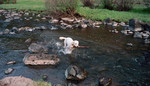 photo thumbnail #3