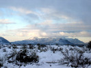 photo thumbnail #1