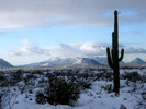 photo thumbnail #2