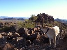 photo thumbnail #2