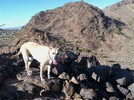 photo thumbnail #9
