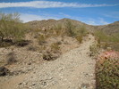 photo thumbnail #2