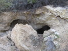 photo thumbnail #1