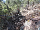 photo thumbnail #8