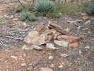 photo thumbnail #12