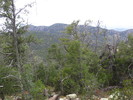 photo thumbnail #14