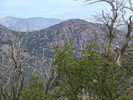 photo thumbnail #15