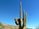 photo thumbnail #2
