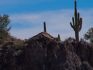 photo thumbnail #3