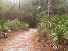 photo thumbnail #10
