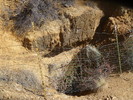 photo thumbnail #14