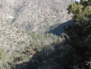 photo thumbnail #11
