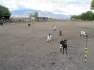 photo thumbnail #4