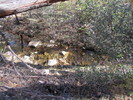 photo thumbnail #12