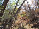 photo thumbnail #13