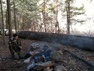 photo thumbnail #2