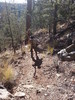 photo thumbnail #7