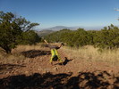 photo thumbnail #10