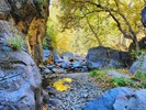 photo thumbnail #5