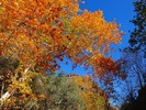 photo thumbnail #11