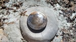 photo thumbnail #10