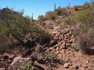 photo thumbnail #2
