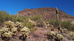 photo thumbnail #5